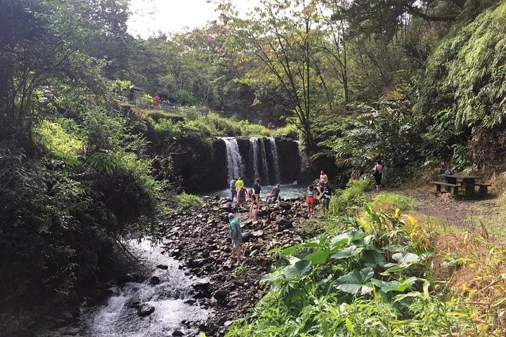 Scenic winding road through lush rainforest on the Road to Hana
