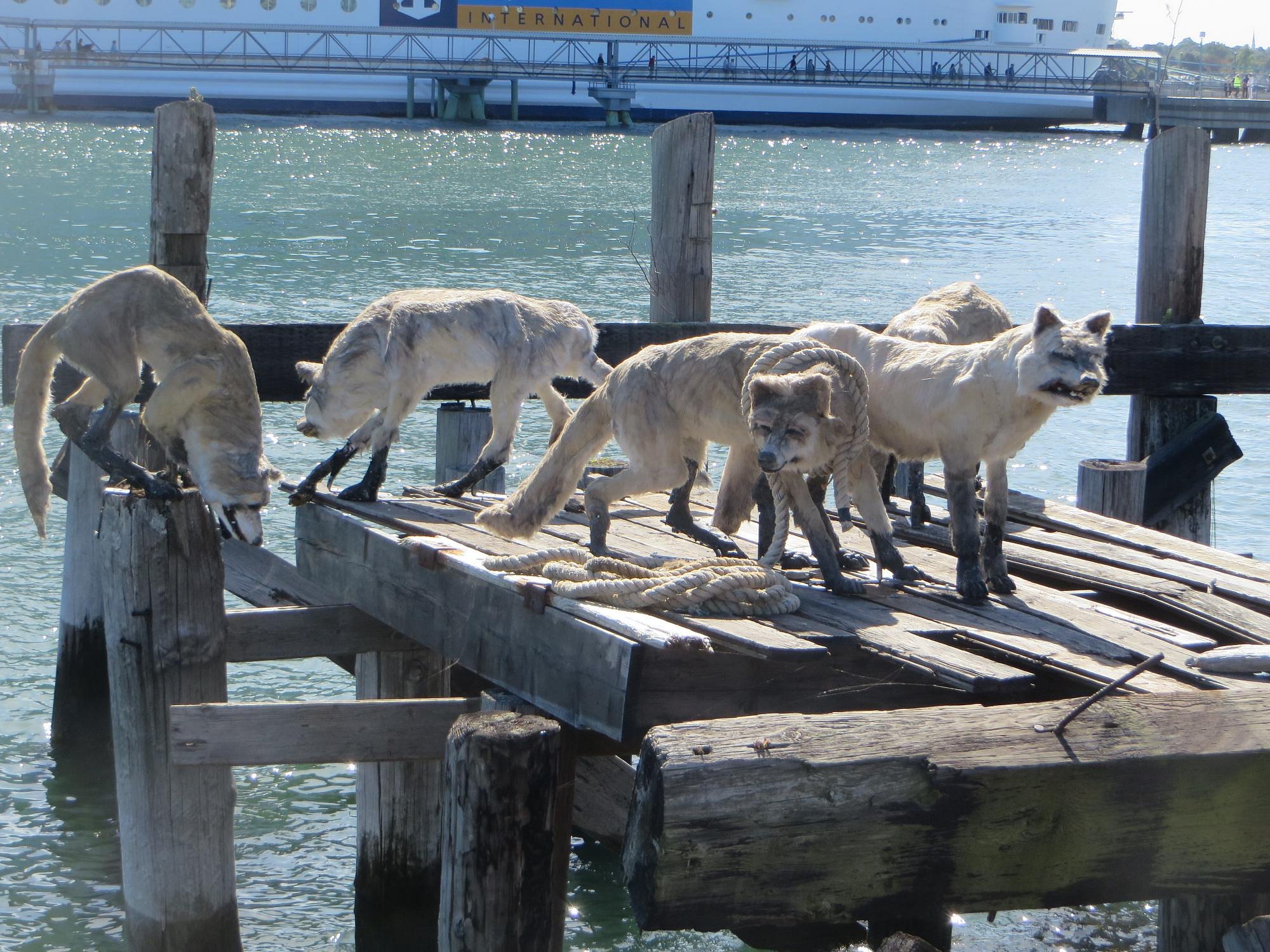 Eastern Promenade Trail along Portland Maine waterfront