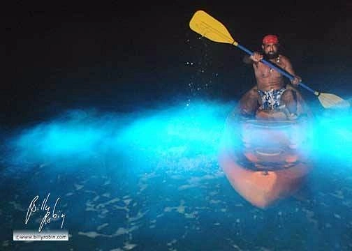 Glowing bioluminescent water in Vieques bay at night